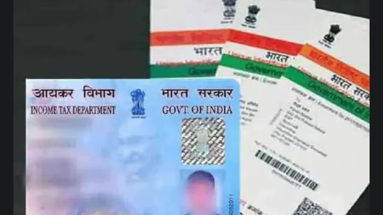 If Not Aadhaar card-PAN or Voter ID card, Then Which Documents Will Prove Indian Citizenship, Know Here