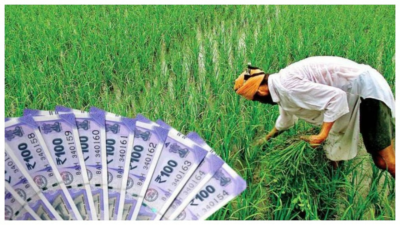 Farmers are Being Given a Subsidy of Lakhs, Buy These Items Quickly, Now There Will Be More Income From Farming